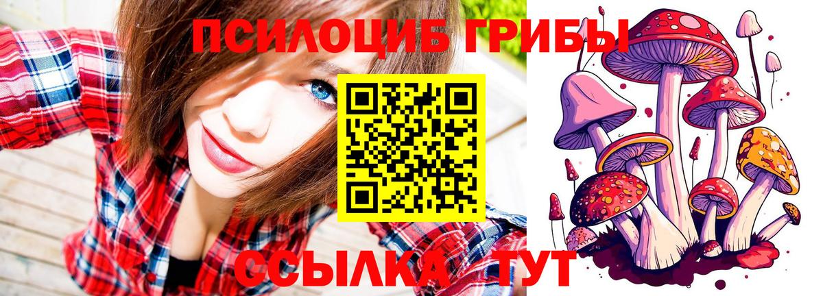 Галлюциногенные грибы ЛСД Славянск-на-Кубани
